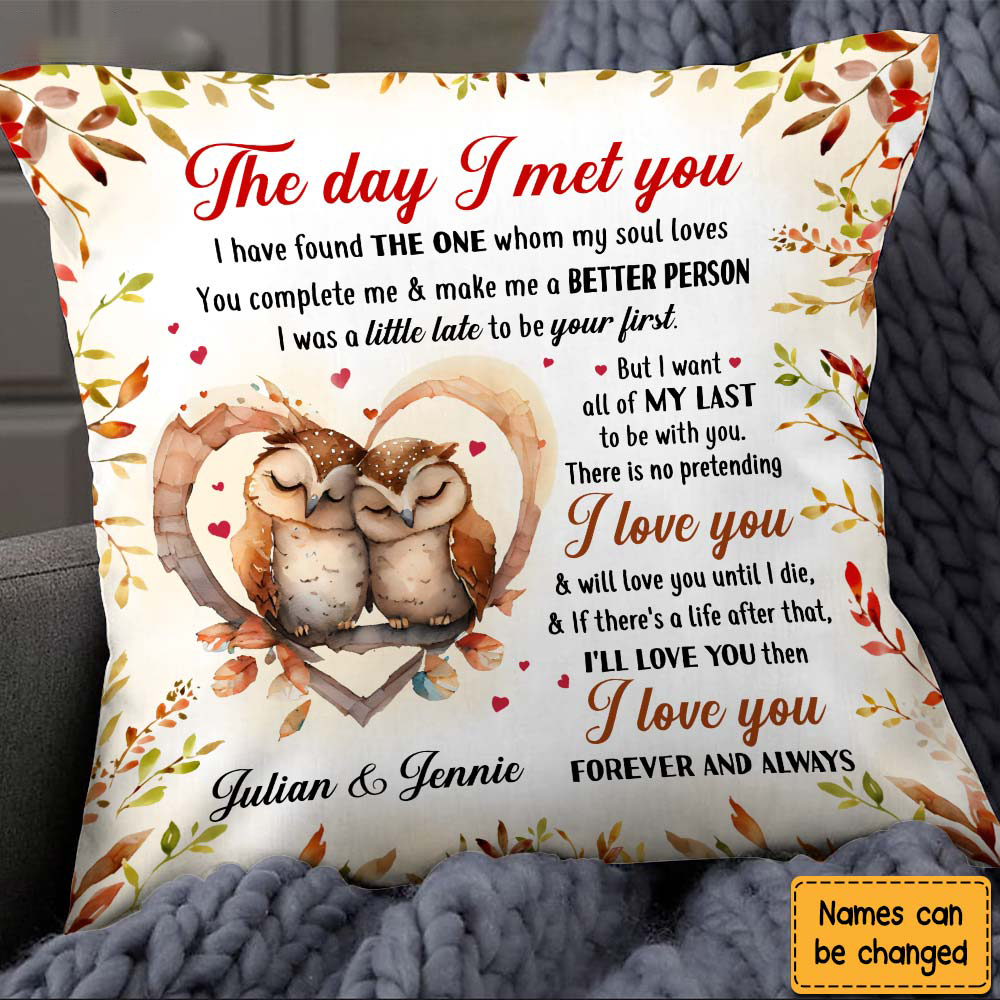 Gift For Couple Owl Couple The Day I Met You Pillow