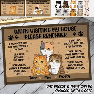 Personalized When Visting My House Please Remember Cat Lovers Welcome Doormat